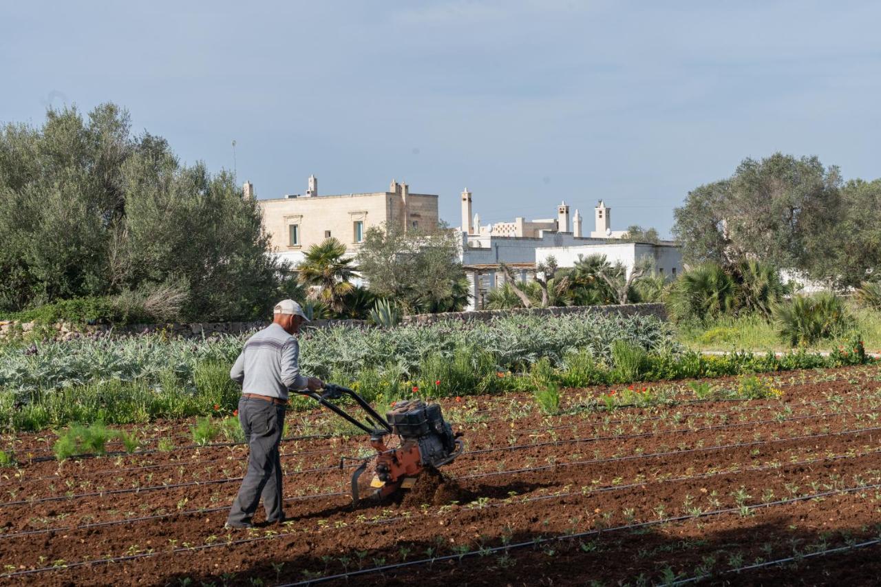 Masseria Palombara Relais & Spa - Adults Only Vila Manduria Exterior foto